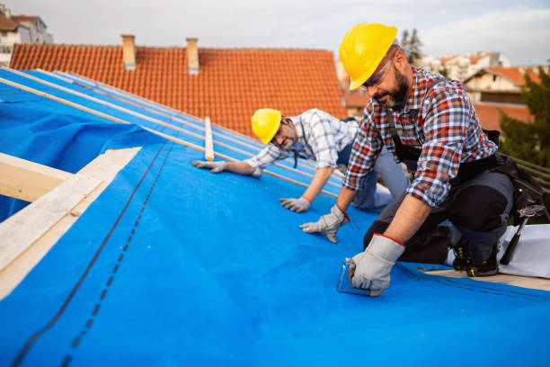 Roof Gutter Cleaning in Cottageville, SC